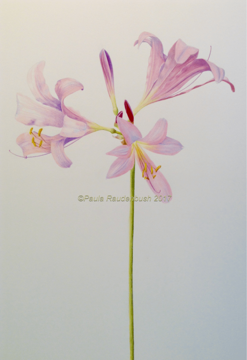 86C087D9-D19F-492E-B0F5-6842CB42C2B2