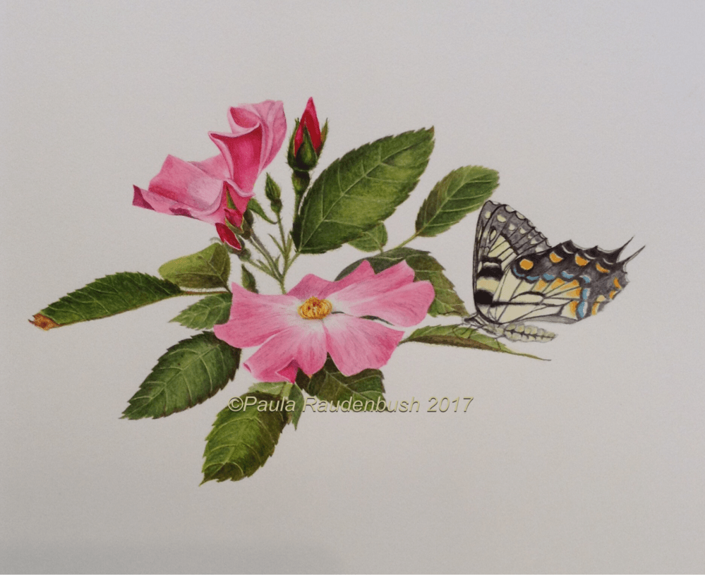 A2666D25-12AC-478C-BAEF-09D456FC60C8