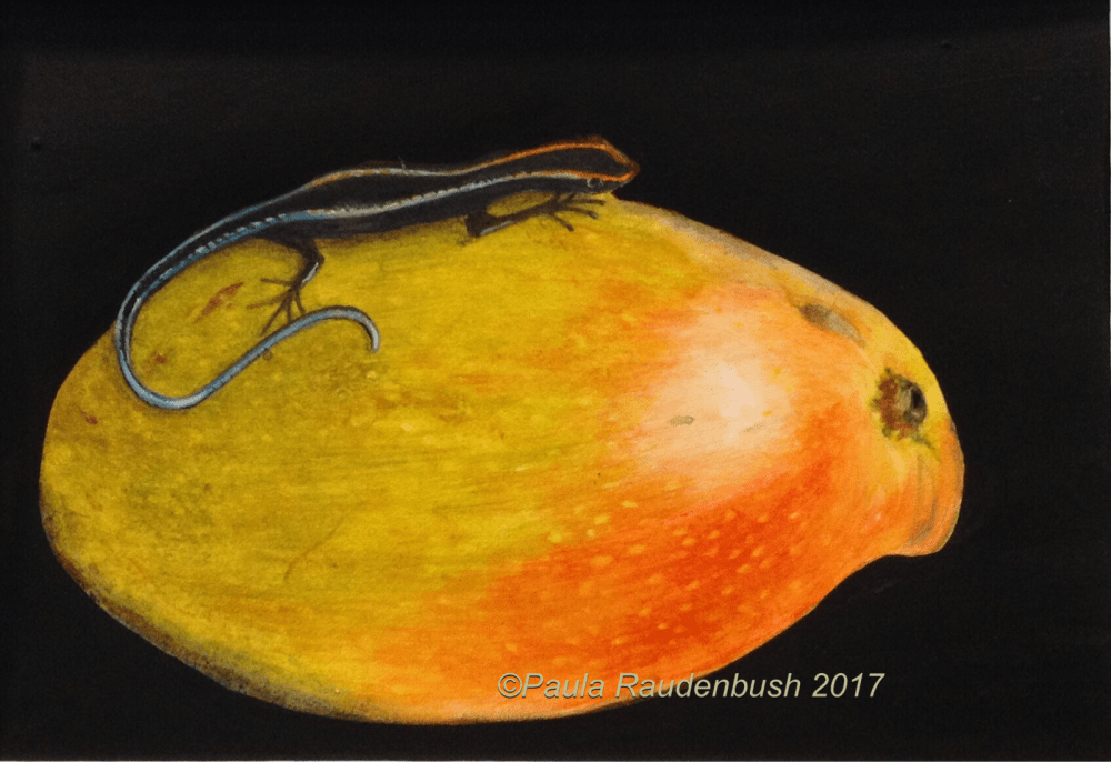 B2FF0C51-4ABA-4288-BB41-80E2489C6B22